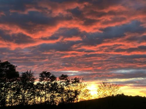 8045A241-EF88-472F-9462-7ACBE23BE07D