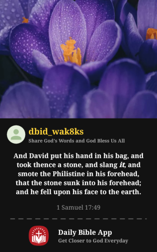 2025-10-281761697447589