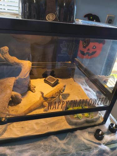 IMG_20251021_102109312_HDR