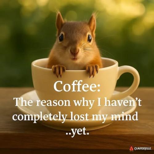 558889692_10213862314869758_2211188089549305534_n