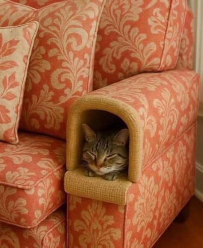 569044672_3247882855380215_5156672428517731882_n