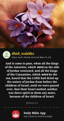 2025-10-281761697283524