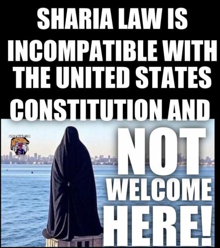 ccb22bc0-be5d-43a7-9c22-384f2da1fa37