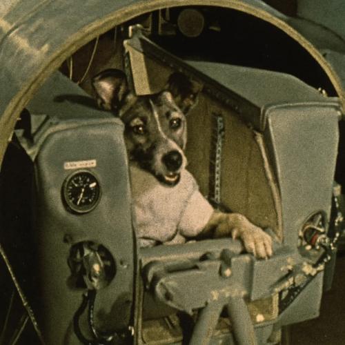 564609116_122158532180749628_269054933460660534_n