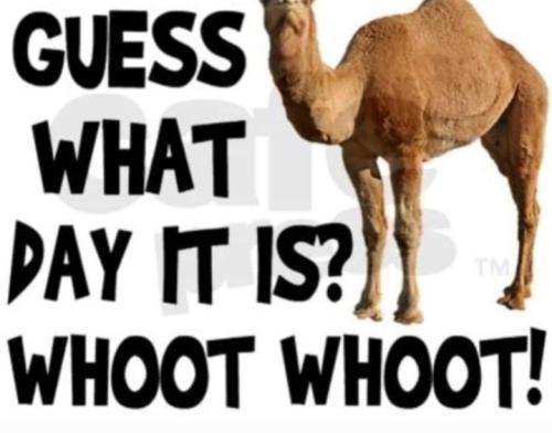 Screenshot_20251029_065206_Gallery