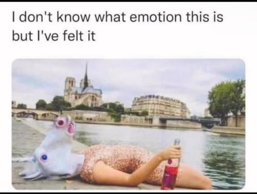 IMG_20251018_143149_949