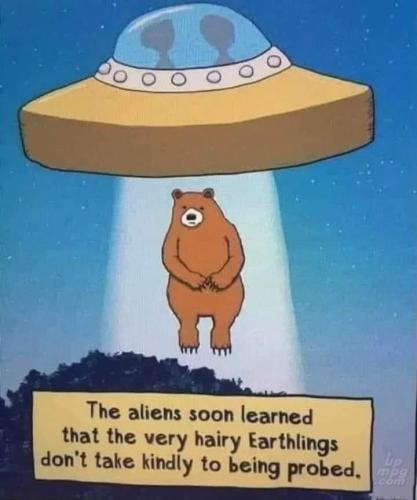 alien bears