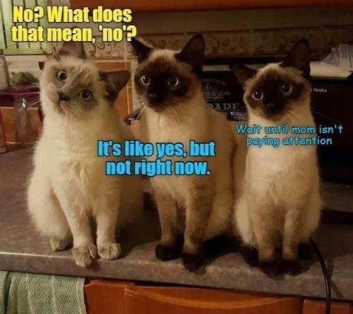 08e736b4490bb32035795fa335f23797