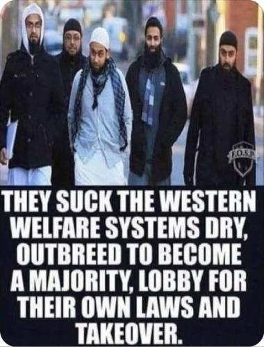 FB_IMG_1761451654331