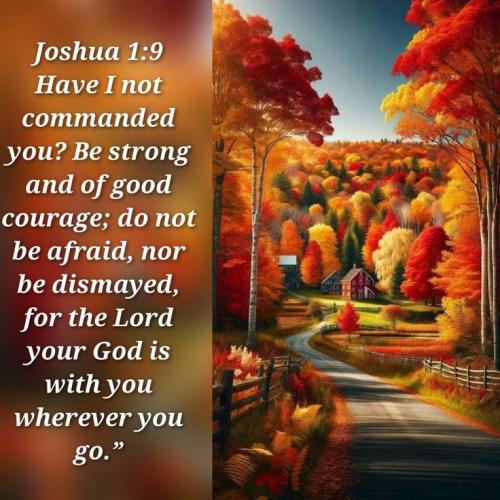 5f61116521cdd6c5e3abd54b6b99a407