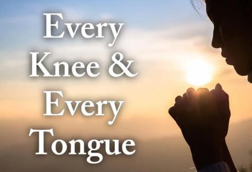 751cc61e-ee37-4463-8117-405b71e89394