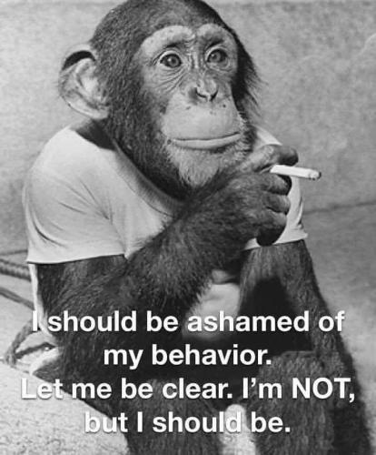 IMG_20250930_141358_254