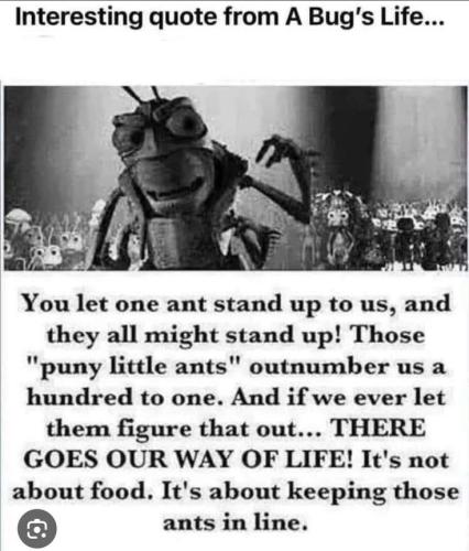 1ca4f8afb0144ebe81f1dcdd4bc00916