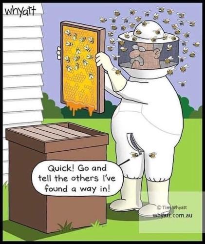 FB_IMG_1760796492890