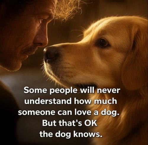 6befe365faacb7d8626b73e561961339