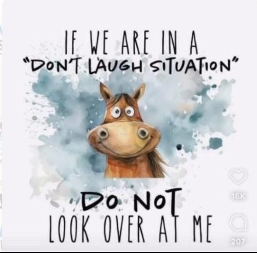 IMG_20251009_134353_833