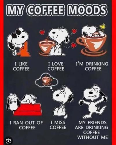 569185613_122235690278152276_6952887973936434945_n