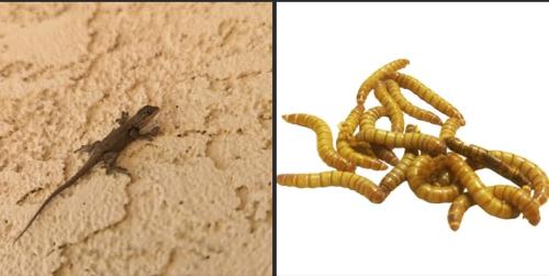 Screenshot_20251006_225023_Facebook