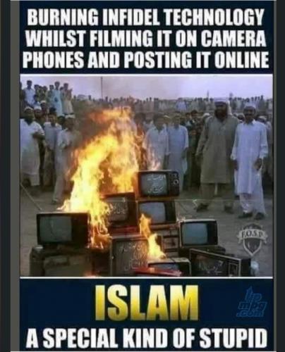 main-qimg-142d09271257e039bfcf53f15f59c049