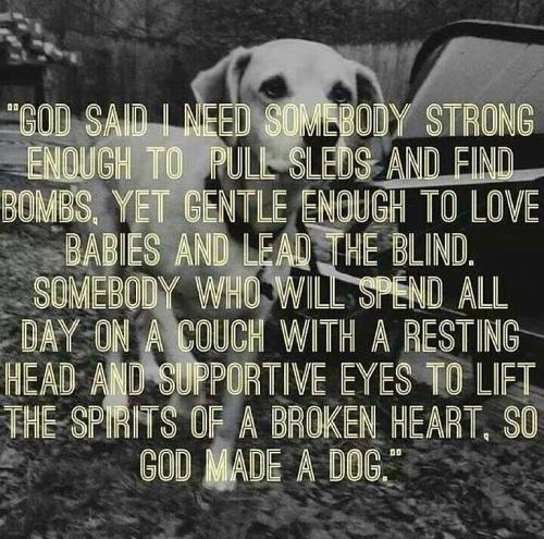 8d14cf76-182c-47df-beba-d6dd8fd9590f