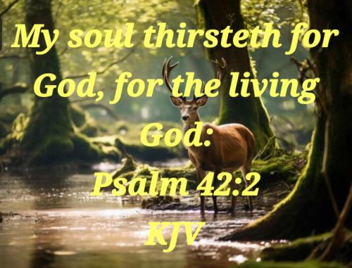 4acf61c1-3f23-4969-bcbb-2d2052761d02