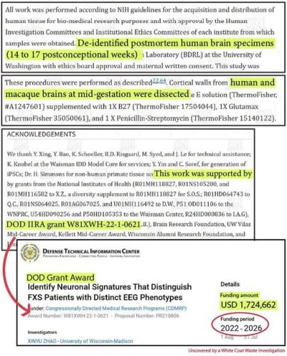 564794171_1248119714026514_2163055043203555973_n