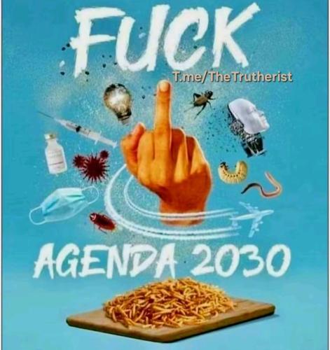 IMG_20251016_051452_104