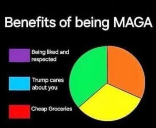 fd15fbb3-9be7-459b-b30a-601b1a336831