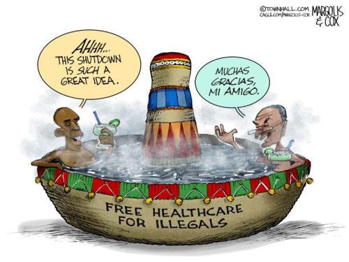 HEALTHCARE FOR ILLEGALS