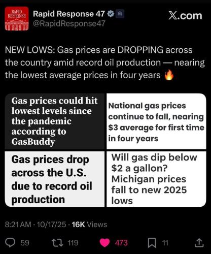 IMG_20251017_110357_446