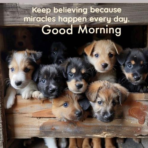 f3997e573b1bbd23270b9673469cedfd