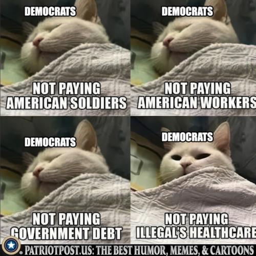 01K7T121W2BPRKGR3Q9Q4V43R2