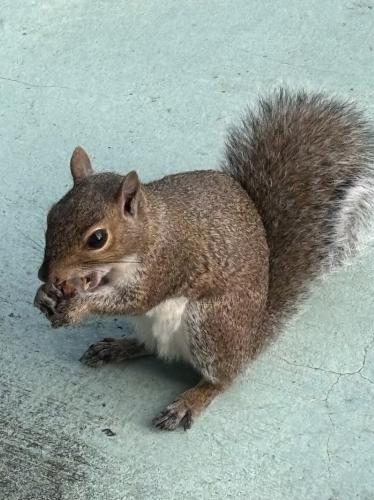 9BECD9AF-206C-47AF-82AD-05CB6DACF8F8