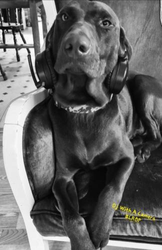 Screenshot_20251026_064620_Gallery