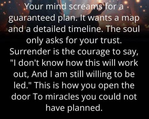 IMG_20251010_014915_331