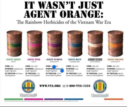 541624b8-4100-4fb7-a2c8-858f3a2942aa