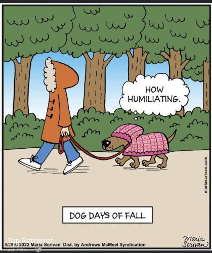 c480c8c384cf6cae879c7ed174edea8a