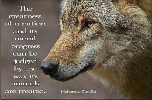 20:19:19 GMT-0500 (CDT)