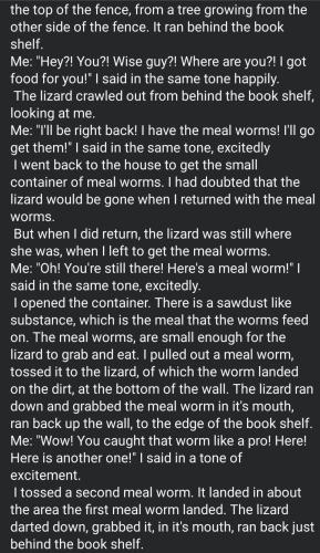 Screenshot_20251006_225001_Facebook