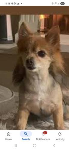 c5153d44-c1fa-4044-a449-64c95bc669a4