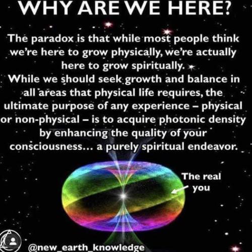 ,         418235313_73391130547