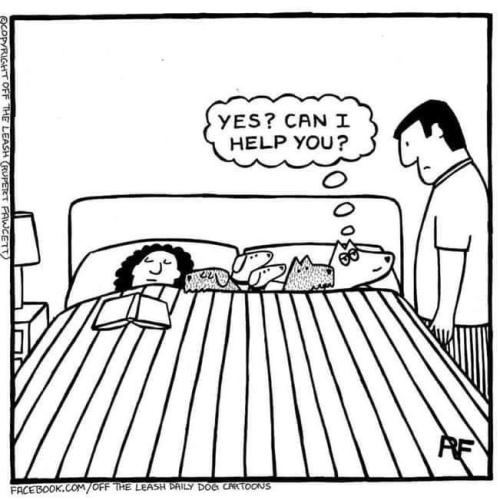 fdda8f219494dab4db0ba13e706f7be6