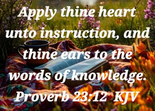 13fe524a-6e2f-4a54-b3ee-8c78fbf04b63