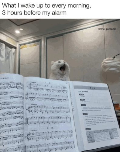 wake-up-every-morning-3-hours-before-my-alarm-all-a10-axa-the_pizzacat-allegrette-wwww