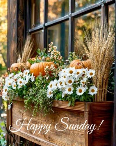 571188269_1342486391222419_7360797940562349319_n