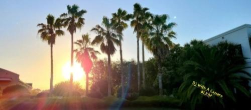 Screenshot_20251021_185118_Gallery