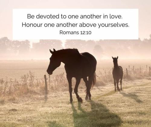 814ba5aa1a8603a2d9c2fae6c1aa70e5