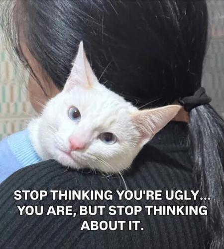 stop-thinking-you're-ugly