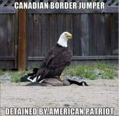 7d86b0fd-a0f9-44ac-8622-17133b9fdd36