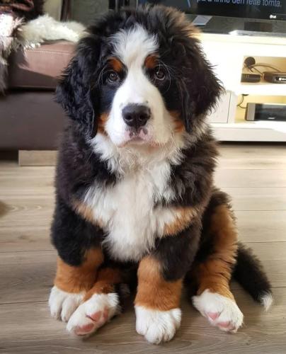 4CE8B3BE-D3B1-4A92-B218-D408BDE2BCAE